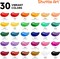 Shuttle Art 46 Pack Acrylic Paint Set, 30 Colors Acrylic Paint with 10 Paint Brushes 3 Painting Canvas 1 Paint Knife Palette Sponge, Complete Gift Set for Kids, Adults Painting Canvas, Wood, Ceramic
